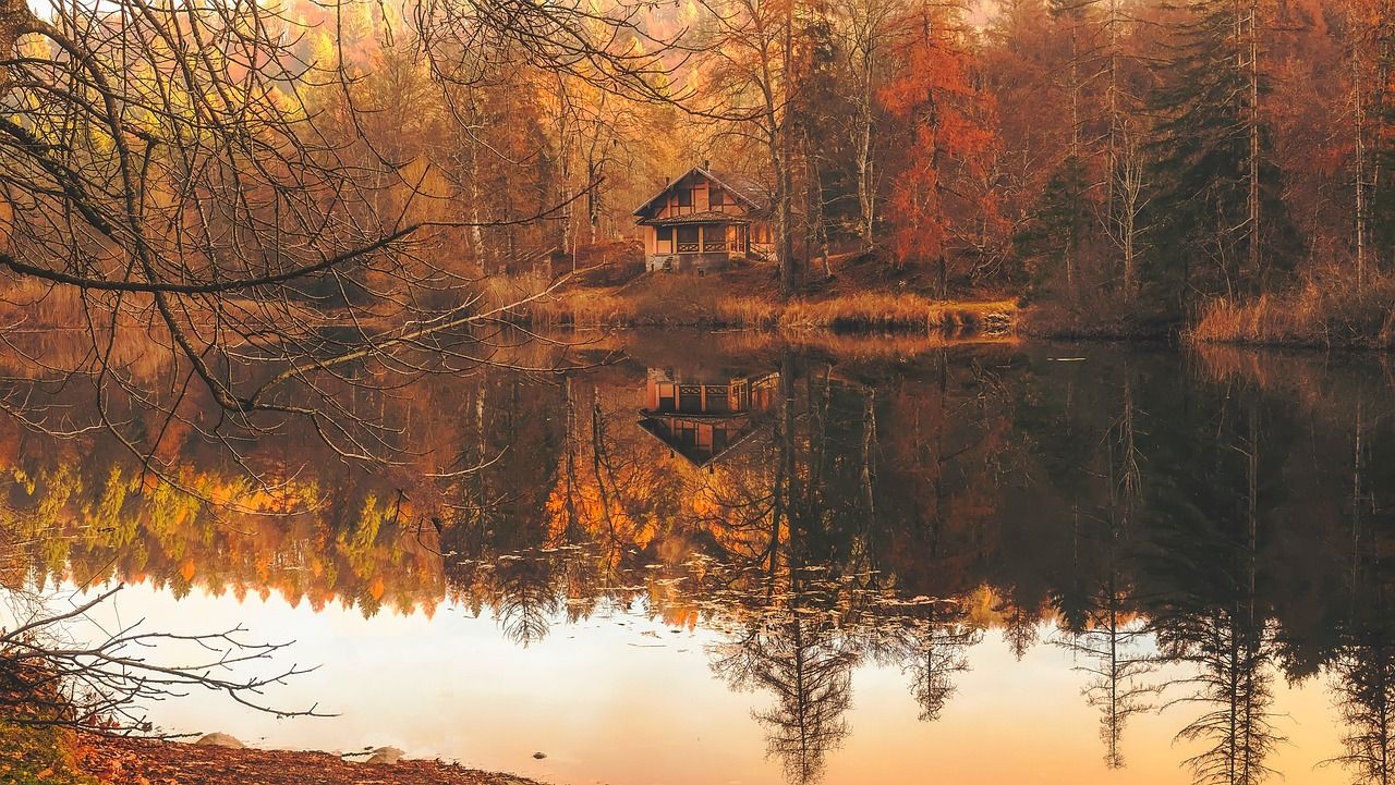 Polska nasz wspólny dom image