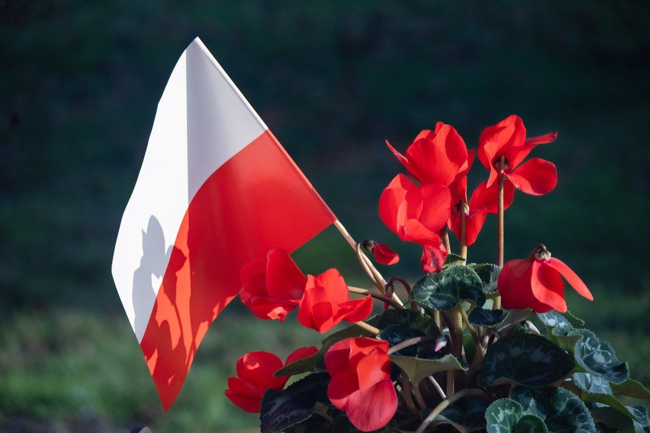 Być polakiem to brzmi dumnie image
