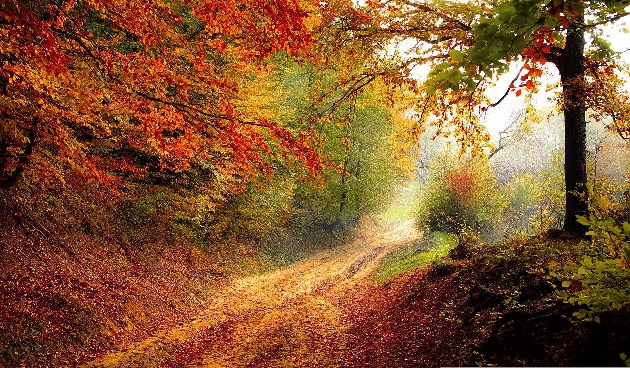 Jesień image
